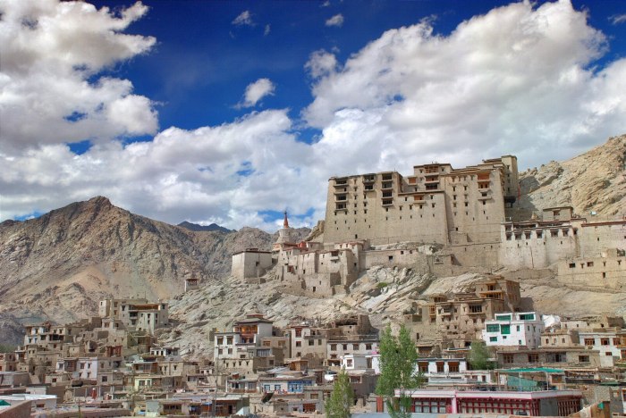 This is the famous Leh town - an ancient capital of Ladakh region and a solid cultural centre. 