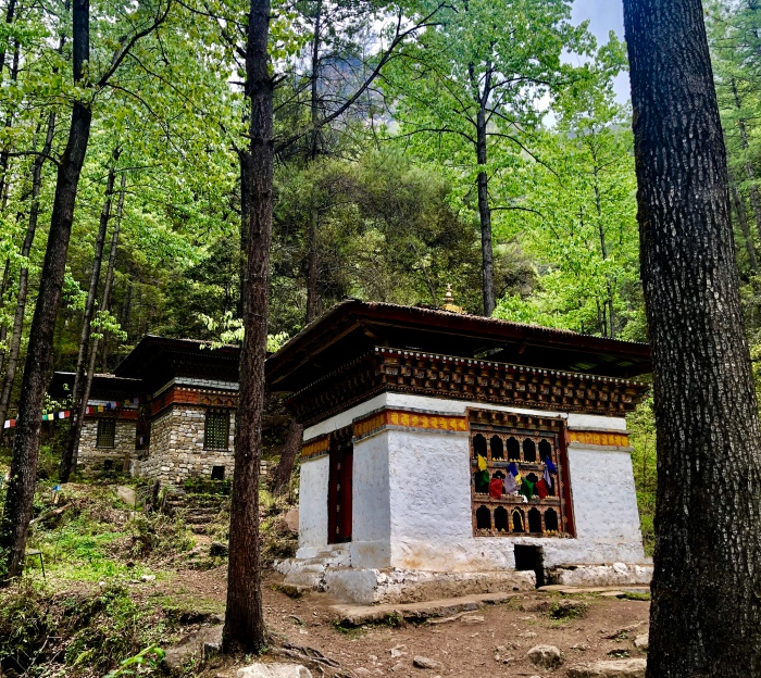 Viktorianz Bhutan 5