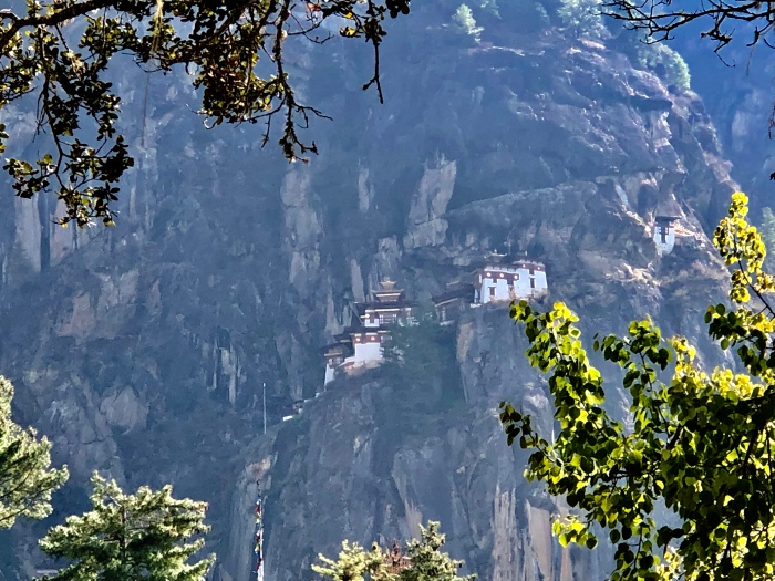 Viktorianz Bhutan 6